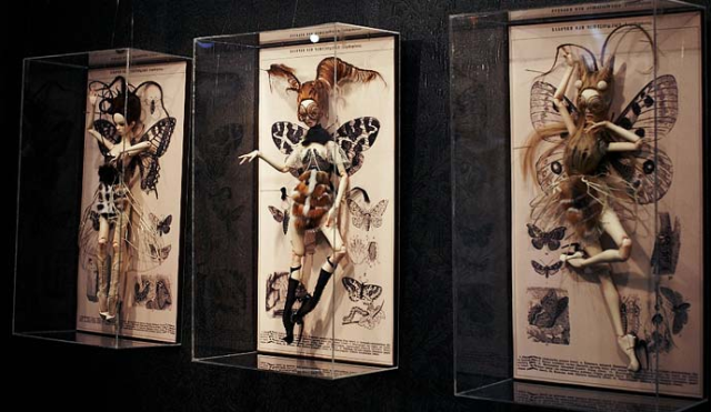 Popovy sisters in flowers