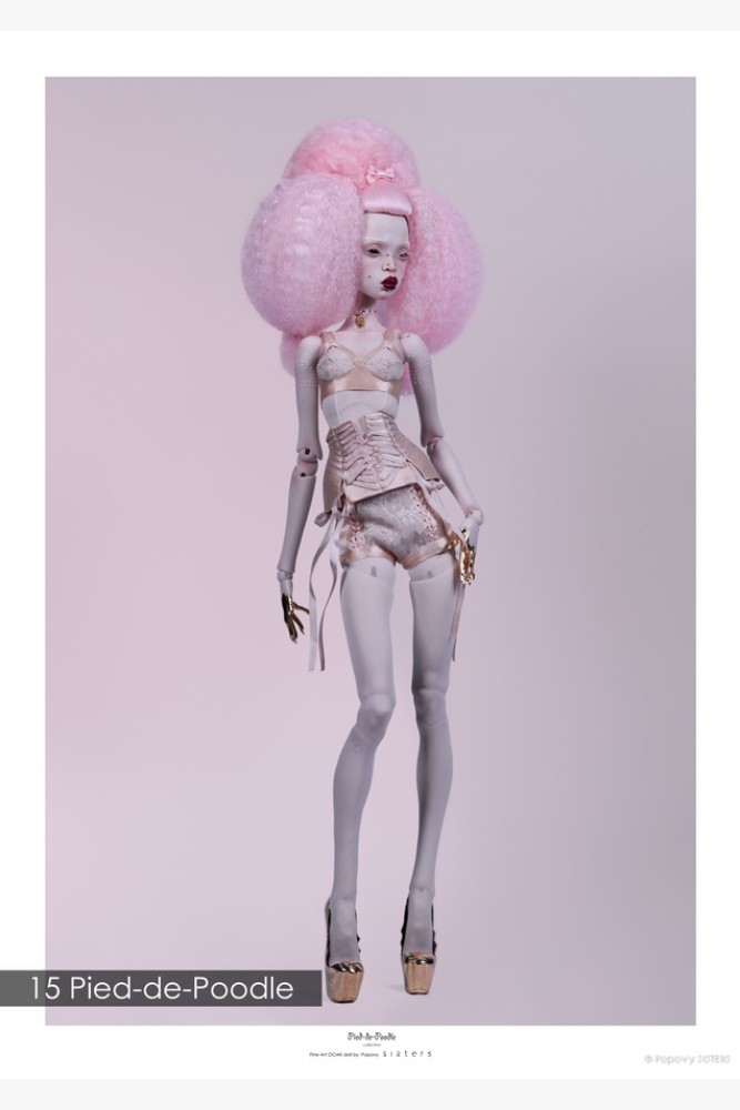 15 Pied-de-Poodle