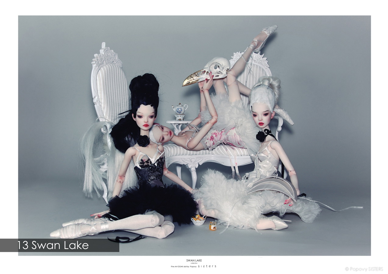 13 Swan Lake