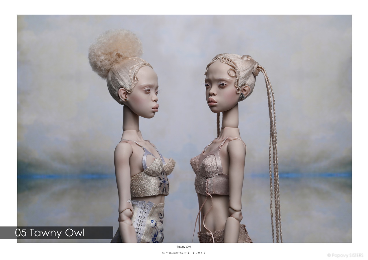 05 Tawny Owl