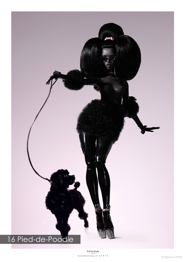 16 Pied-de-Poodle